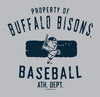Buffalo Bisons Grey MV Blanket