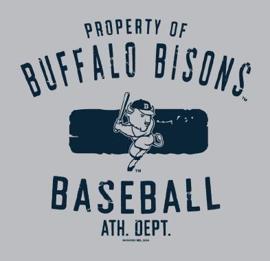 Buffalo Bisons Grey MV Blanket