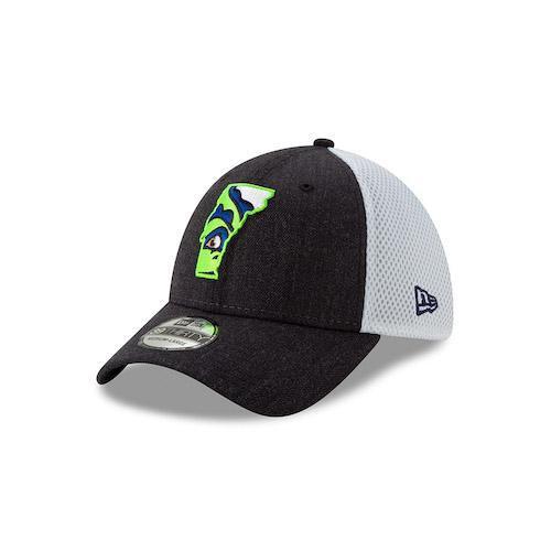 Vermont Lake Monsters VT State Logo Heather Front Neo 39THIRTY - New Era