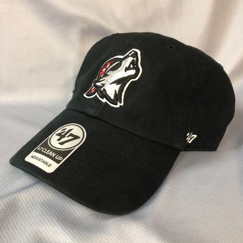 Erie SeaWolves "Howlers" 47 Brand Clean Up