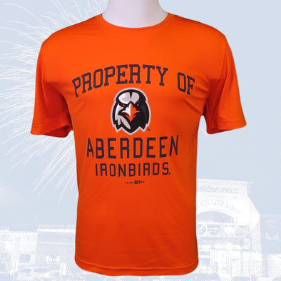 Aberdeen IronBirds Property of tee