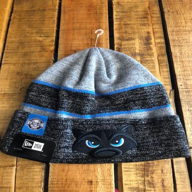 Hudson Valley Renegades Apparel Mens (New Era)-Knit Cap