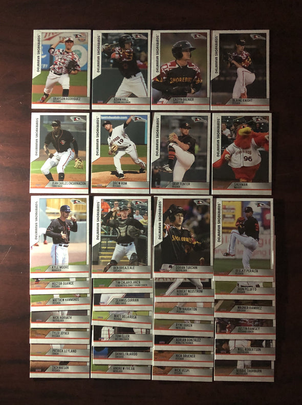 Delmarva Shorebirds 2019 Team Card Set