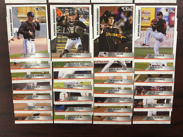 Delmarva Shorebirds 2019 Team Card Set