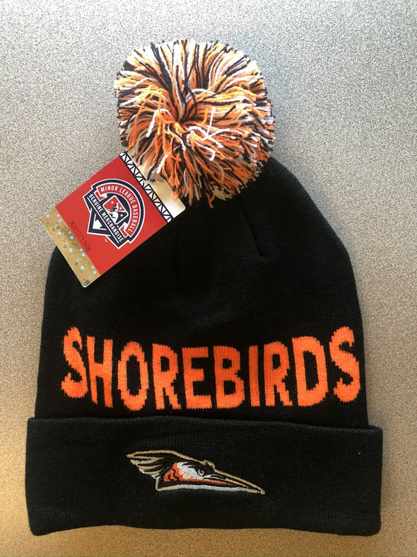 2019 Delmarva Shorebirds Beanie