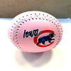 Iowa Cubs Logo Baseball