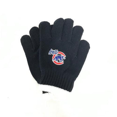 Iowa Cubs Youth Knit Gloves, Navy