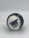 Pensacola Blue Wahoos Logo Baseball