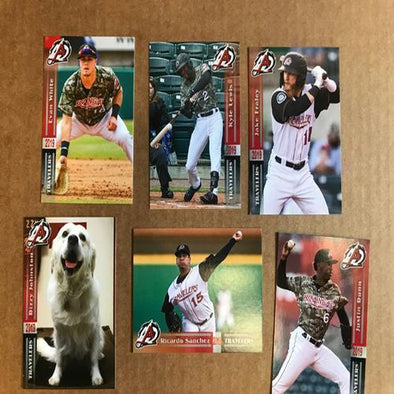 Arkansas Travelers 2019 Team Set