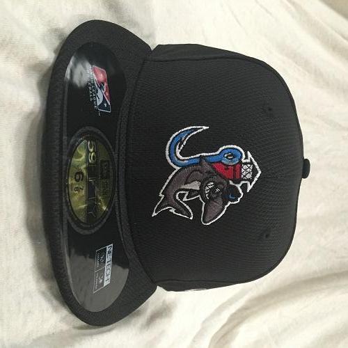 Jupiter Hammerheads HAMMERHEADS BP DIAMOND ERA HAT