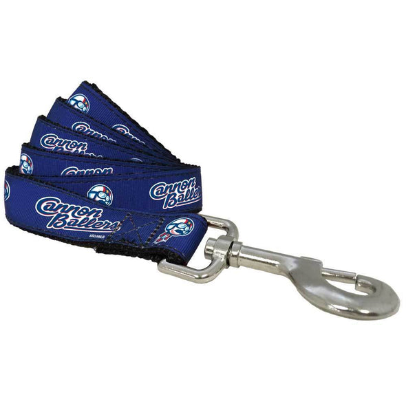 Kannapolis Cannon Ballers Dog Leash