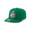 Hartford Yard Goats New Era Low Profile Road Cap