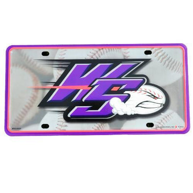 Winston-Salem Dash Dash License Plate