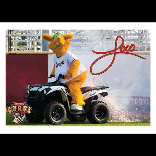 Altoona Curve Postcards