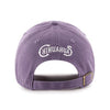 El Paso Chihuahuas HAT- 47' IRIS CENTER FIELD CLEAN UP