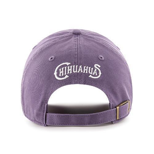 El Paso Chihuahuas HAT- 47' IRIS CENTER FIELD CLEAN UP