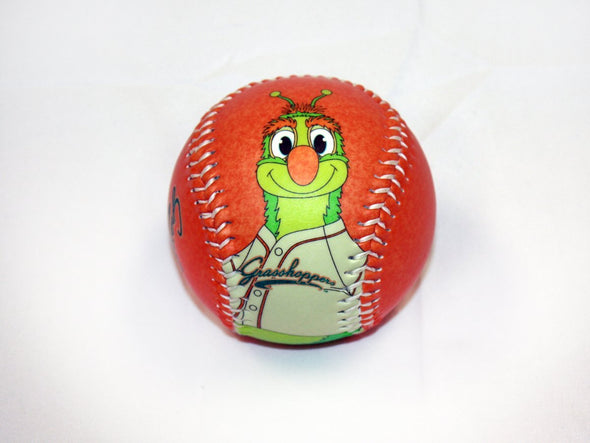 BWM Guilford Baseball