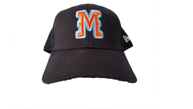Molinos de Burlington Flex Fit Hat