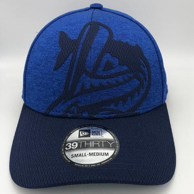 Pensacola Blue Wahoos New Era Overshadow 39Thirty