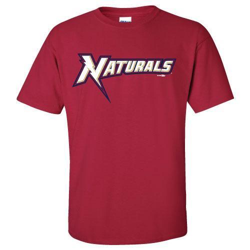 Youth Wordmark Tee Cardinal