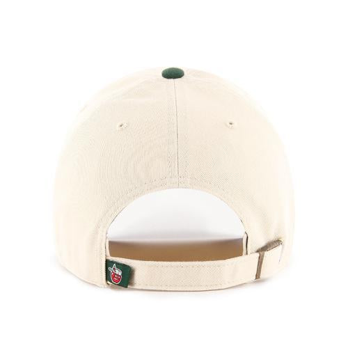 Fort Wayne TinCaps Natural Clean Up