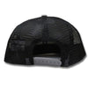 Lynchburg Hillcats 9Fifty Grey & Black Mesh Snapback