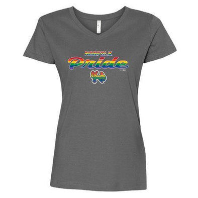 Norfolk Tides Pride