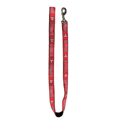 Hickory Crawdads Dog Leash