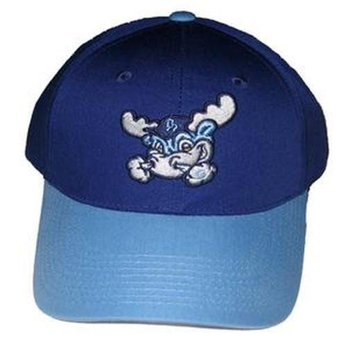 Wilmington Blue Rocks Youth Replica Road Cotton Twill Cap