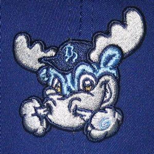 Wilmington Blue Rocks Youth Replica Road Cotton Twill Cap