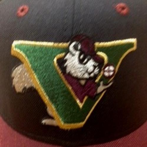 Visalia Rawhide Visalia Oaks Road Cap