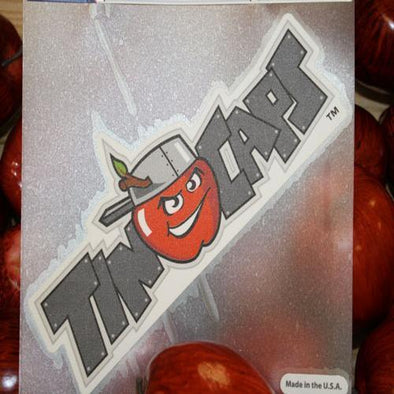 Fort Wayne TinCaps Decal Official Logo