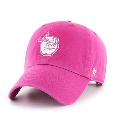 Fort Wayne TinCaps Orchid Clean Up