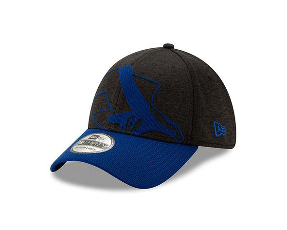 Missoula Osprey 39thirty Overshadow Cap