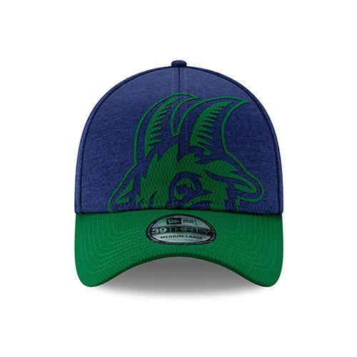 Hartford Yard Goats New Era Overshadow Flex Fit