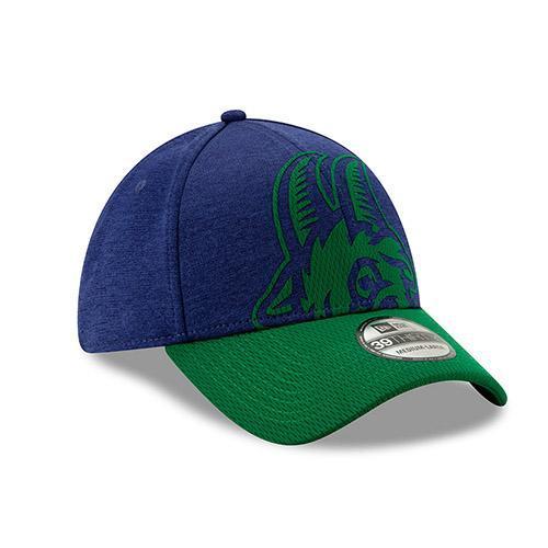 Hartford Yard Goats New Era Overshadow Flex Fit