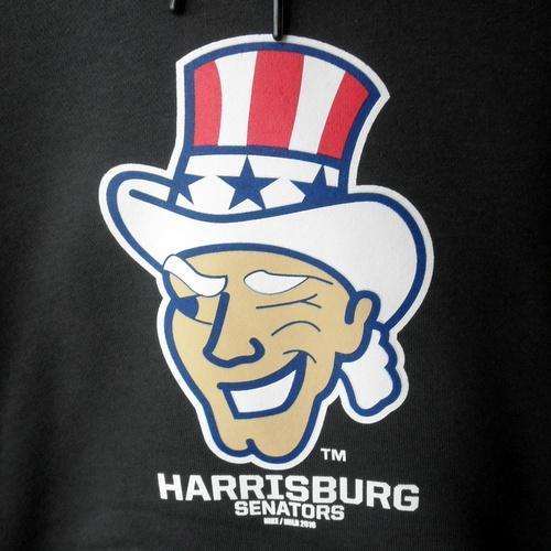 Harrisburg Senators Ladies Nike Grey Hoodie - Uncle Slam