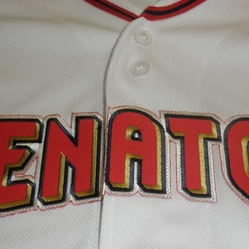 Harrisburg Senators Youth Replica Jersey