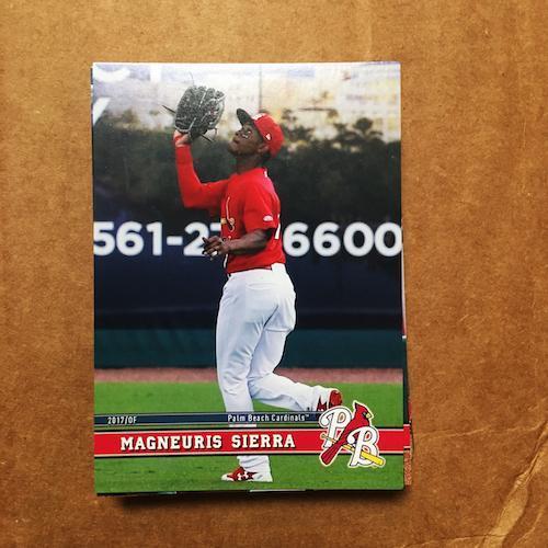 Palm Beach Cardinals 2017 PALM BEACH CARDINALS TEAM SET
