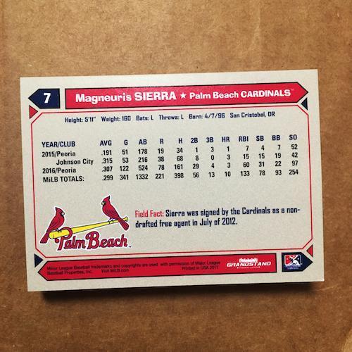 Palm Beach Cardinals 2017 PALM BEACH CARDINALS TEAM SET