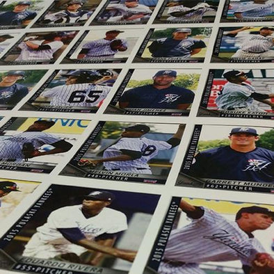 Pulaski Yankees 2015 Team Set