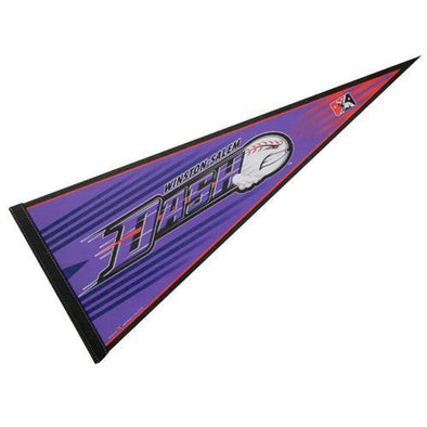 Winston-Salem Dash Pennant