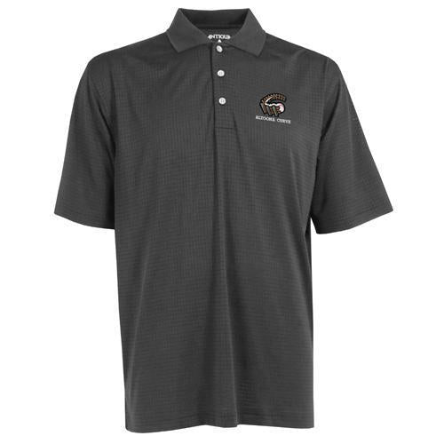 Altoona Curve Phoenix Polo