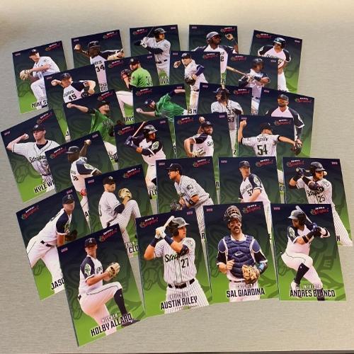 Gwinnett Stipers 2019 Team Set