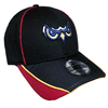 Orem Owlz New Era Pipe Slide