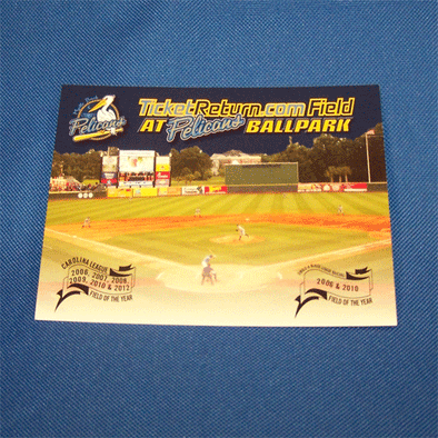 Myrtle Beach Pelicans CHOICE MARKETING POSTCARD