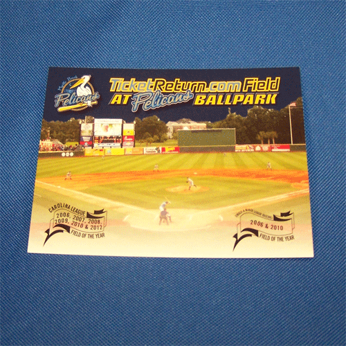 Myrtle Beach Pelicans CHOICE MARKETING POSTCARD