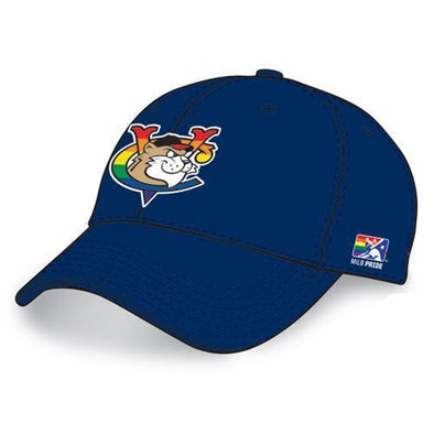 Tri-City ValleyCats Pride Adjustable Cap