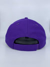 Hartford Yard Goats New Era Pride Adjustable Cap in Purple