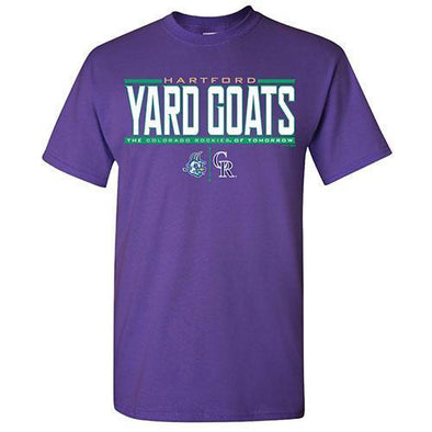 Hartford Yard Goats Affiliate Tee in Purple